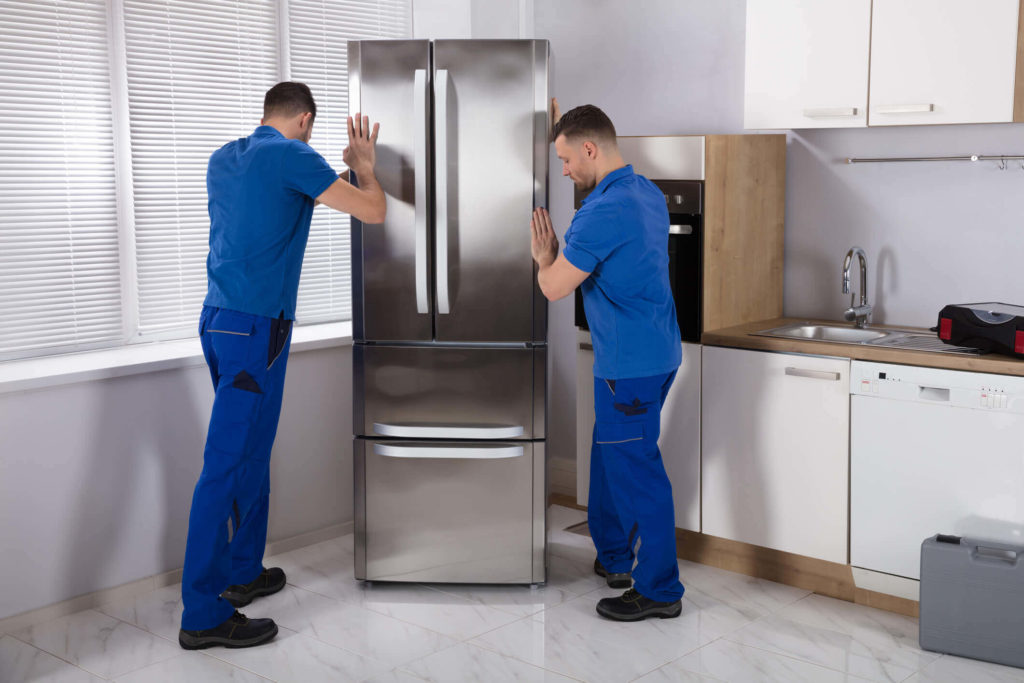 Freezer Maintenance